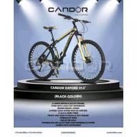 CANDOR (OXFORD) Mountain Bike - 8