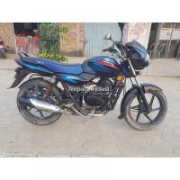 discover 135cc urgent sell