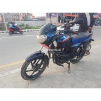 discover 135cc urgent sell