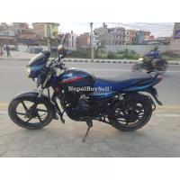 discover 135cc urgent sell