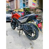 honda hornet in sale