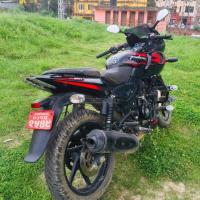 Pulsar 220f/ 131lot - 6